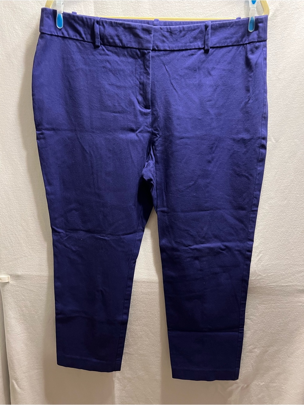 Ann Taylor Purple Stretch Dress Capri Pants